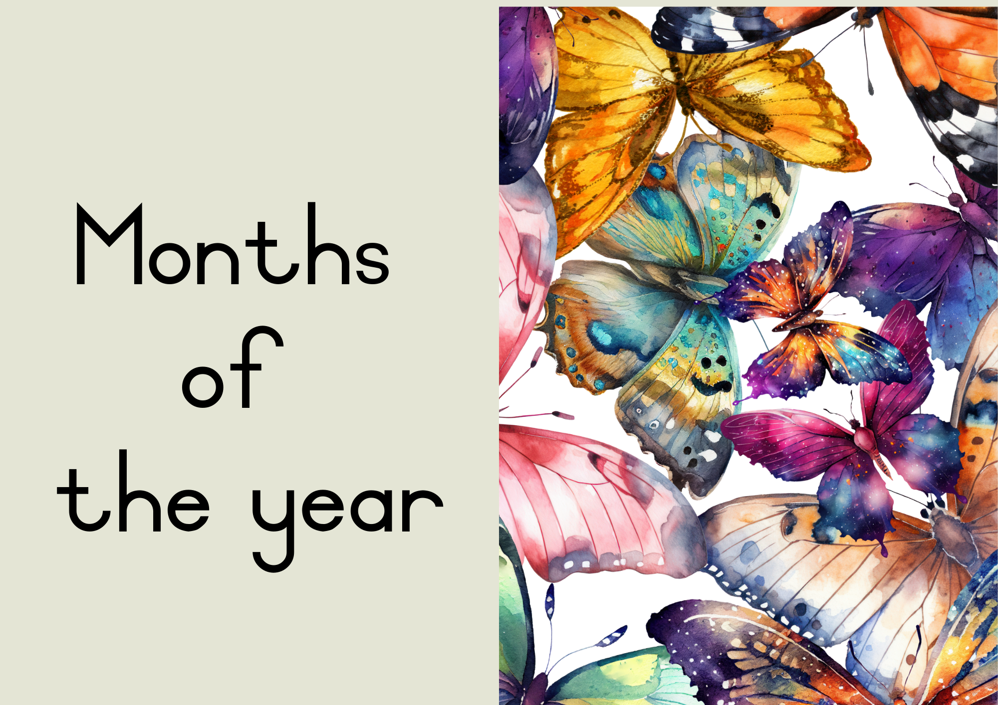 Butterfly Classroom Decor