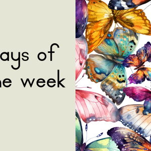 Butterfly Classroom Decor