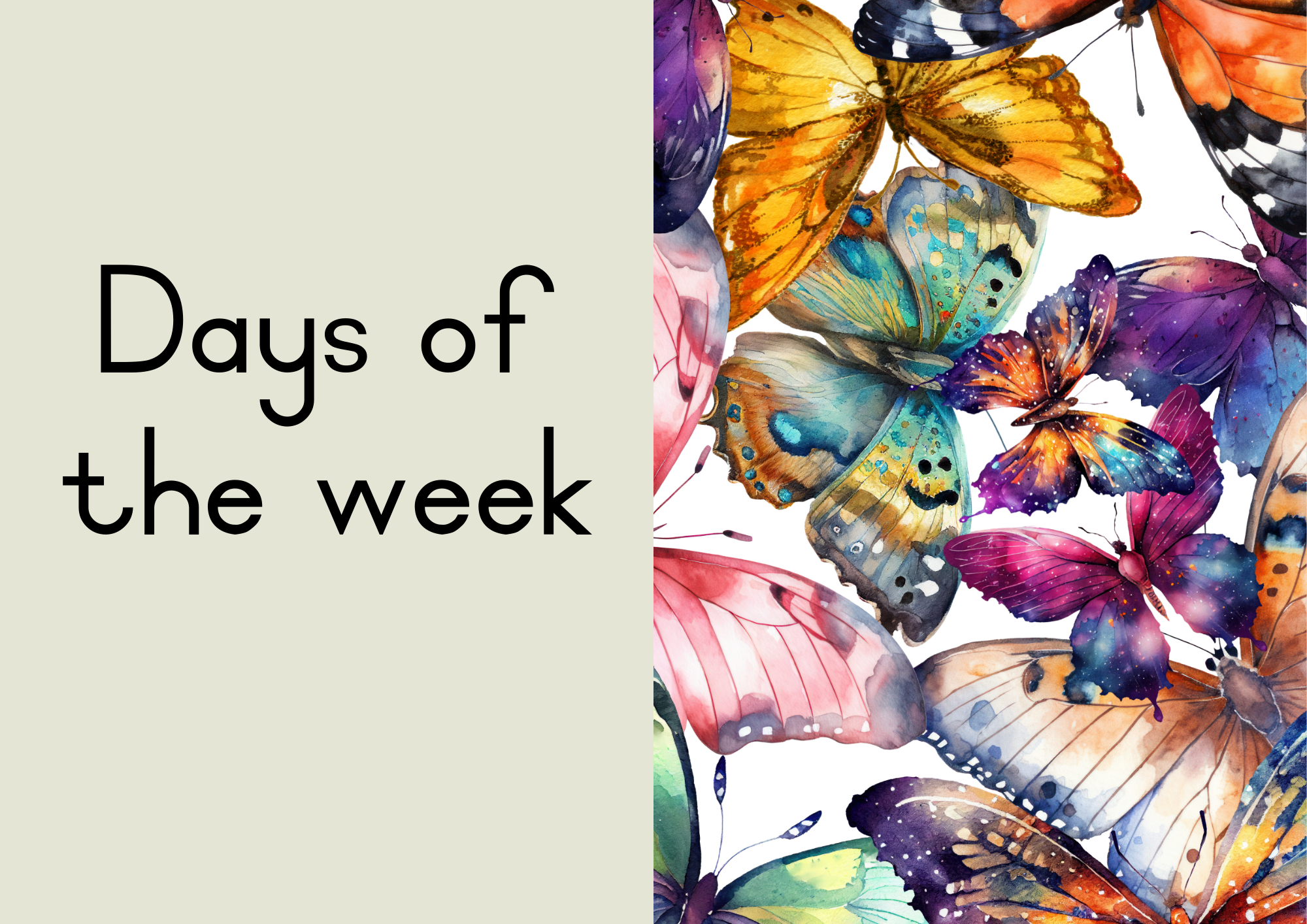 Butterfly Classroom Decor - Image 8