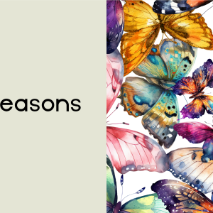 Butterfly Classroom Decor