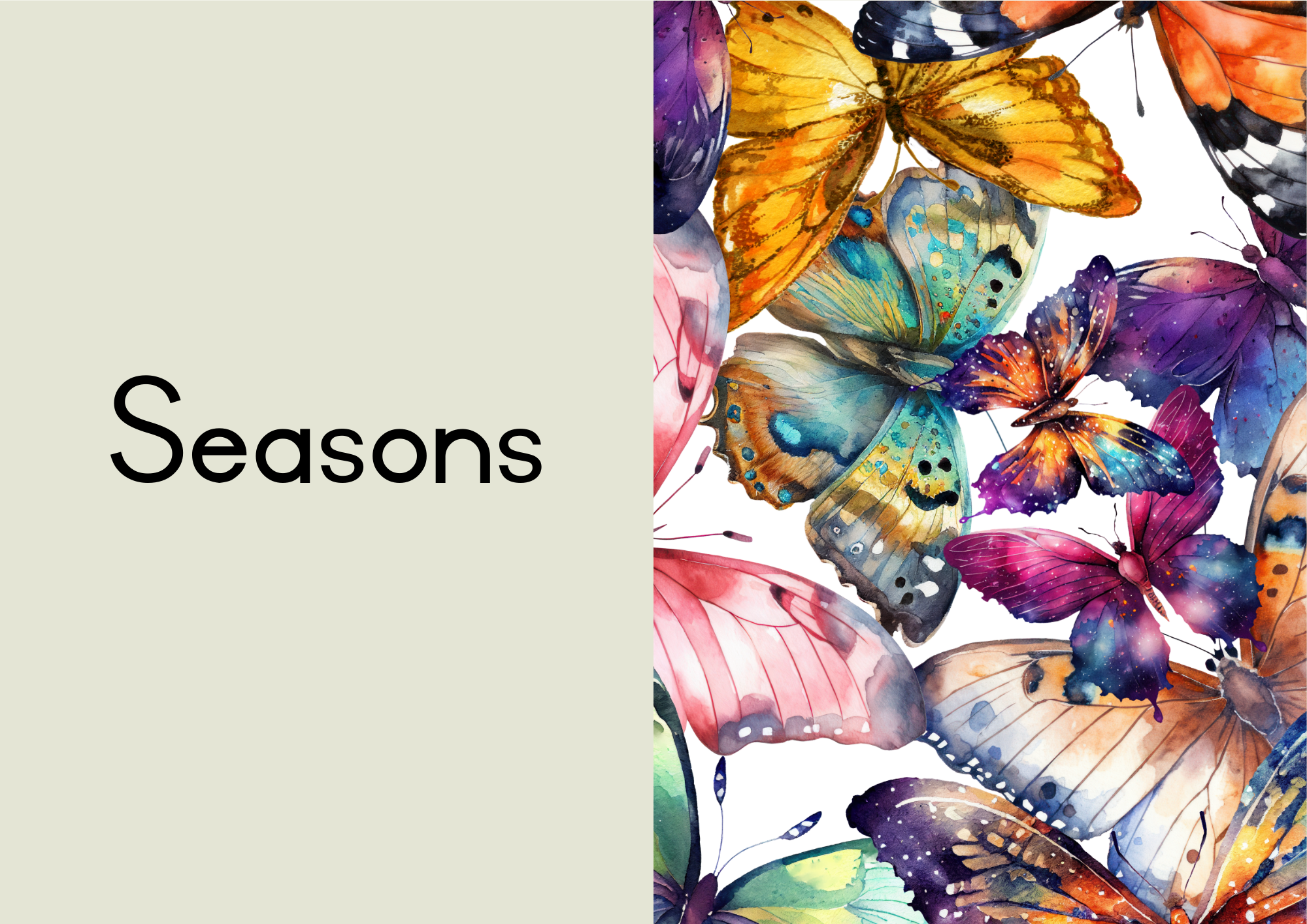 Butterfly Classroom Decor - Image 9