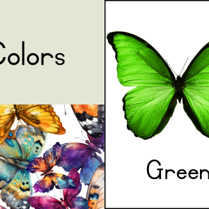 Butterfly Classroom Decor
