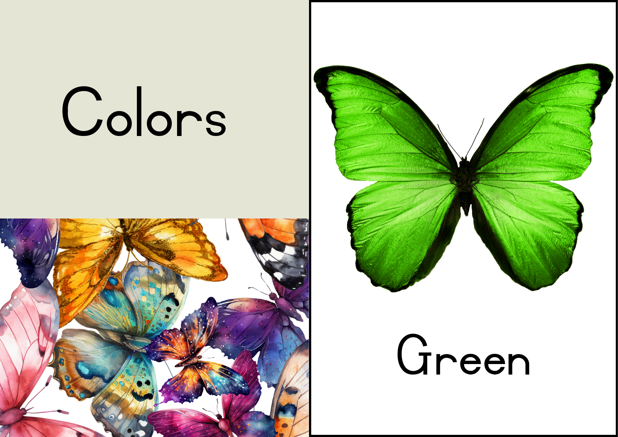Butterfly Classroom Decor - Image 7