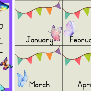 Butterfly Classroom Decor