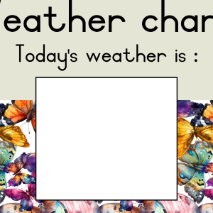 Butterfly Classroom Decor