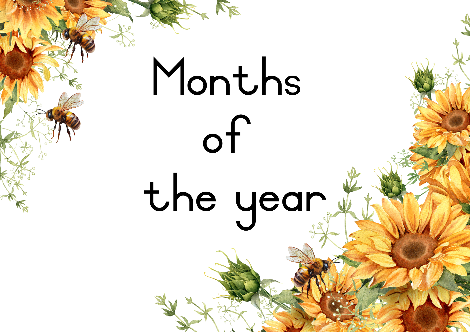 Sunflower Classroom Decor
