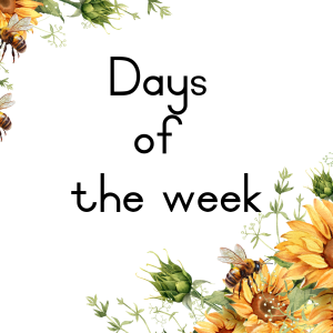 Sunflower Classroom Decor