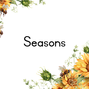 Sunflower Classroom Decor