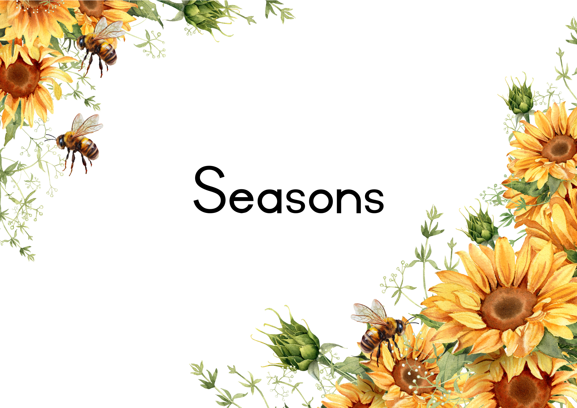 Sunflower Classroom Decor - Image 5