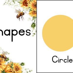 Sunflower Classroom Decor