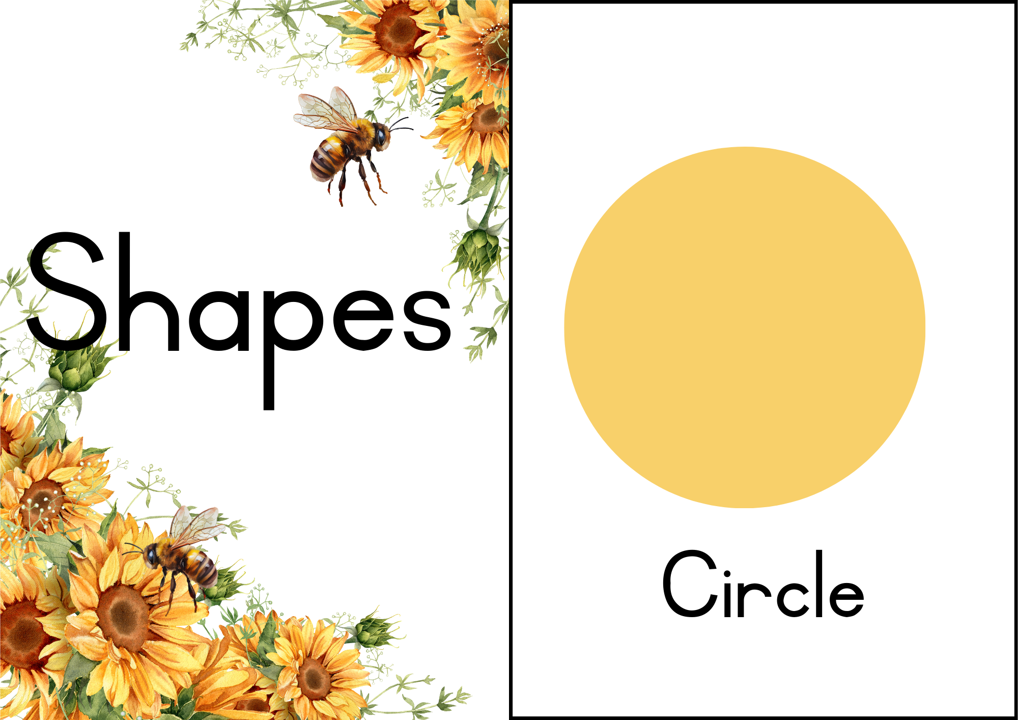 Sunflower Classroom Decor - Image 8