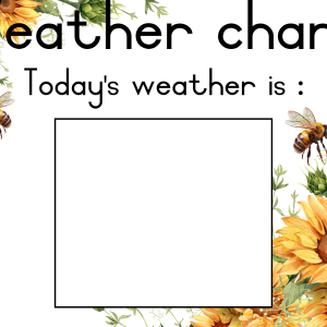 Sunflower Classroom Decor