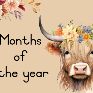 Highland cow classroom decor
