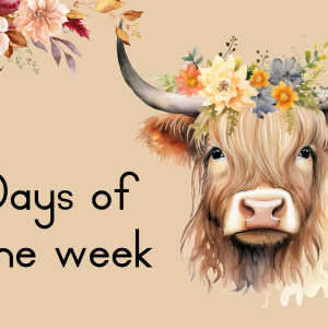 Highland cow classroom decor