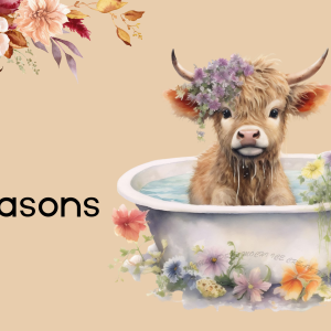 Highland cow classroom decor