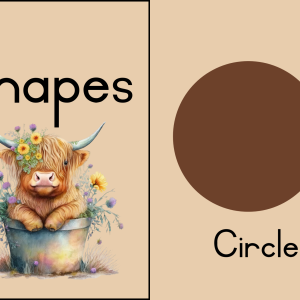 Highland cow classroom decor