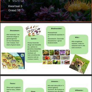 Gr10 Toerisme Powerpoints Kwartaal 3