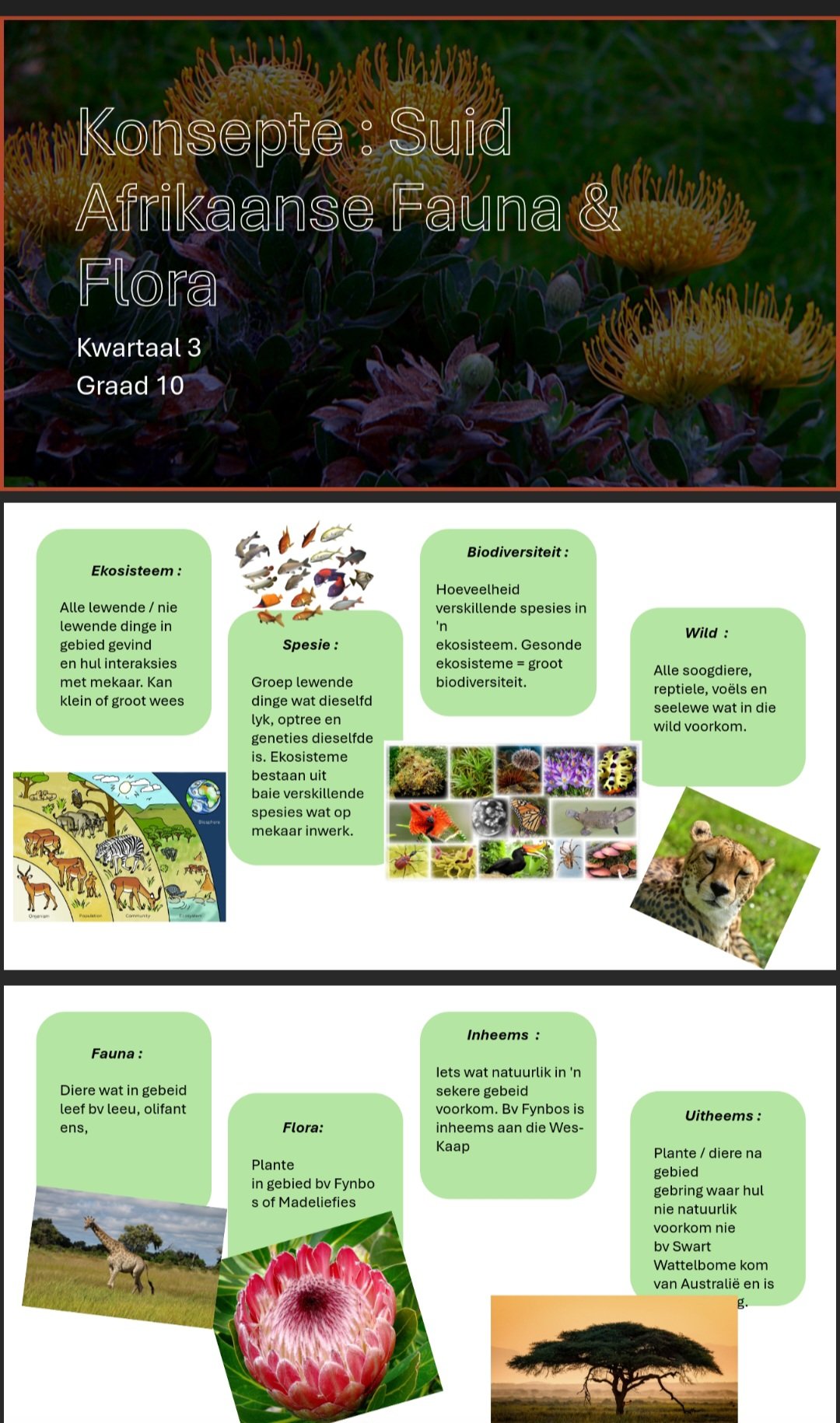 Gr10 Toerisme Powerpoints Kwartaal 3 - Image 2