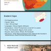 Grade 10 Tourism Powerpoints Term 3