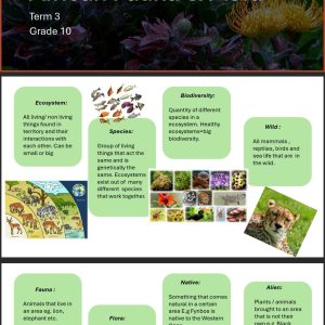 Grade 10 Tourism Powerpoints Term 3