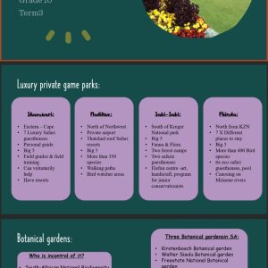 Grade 10 Tourism Powerpoints Term 3