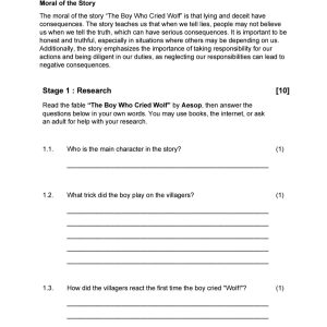 Grade 6 EFAL T3 Literature Project