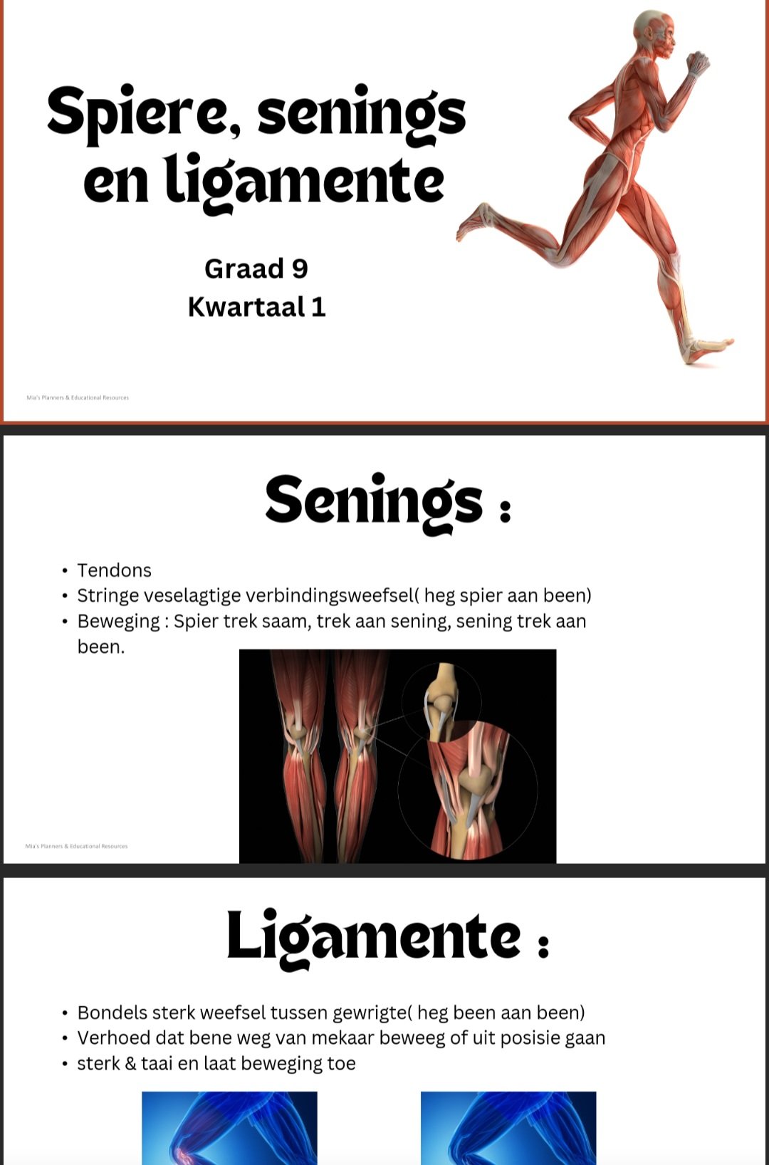 Graad 9 NW Kwartaal 1 Powerpoints - Image 3