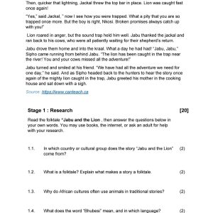 Grade 7 EFAL Term 3 Literature Project
