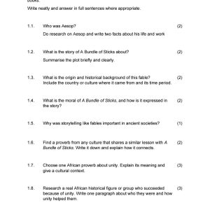 Grade 9 EFAL Literature Task Term 3