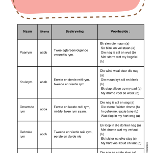 Afrikaans Letterkunde Notas
