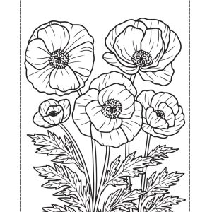 Roses Prayer Journal