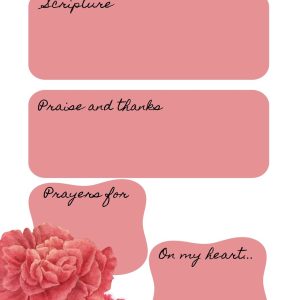 Carnations Prayer Journal
