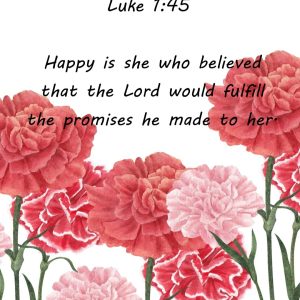 Carnations Prayer Journal