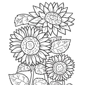 Carnations Prayer Journal