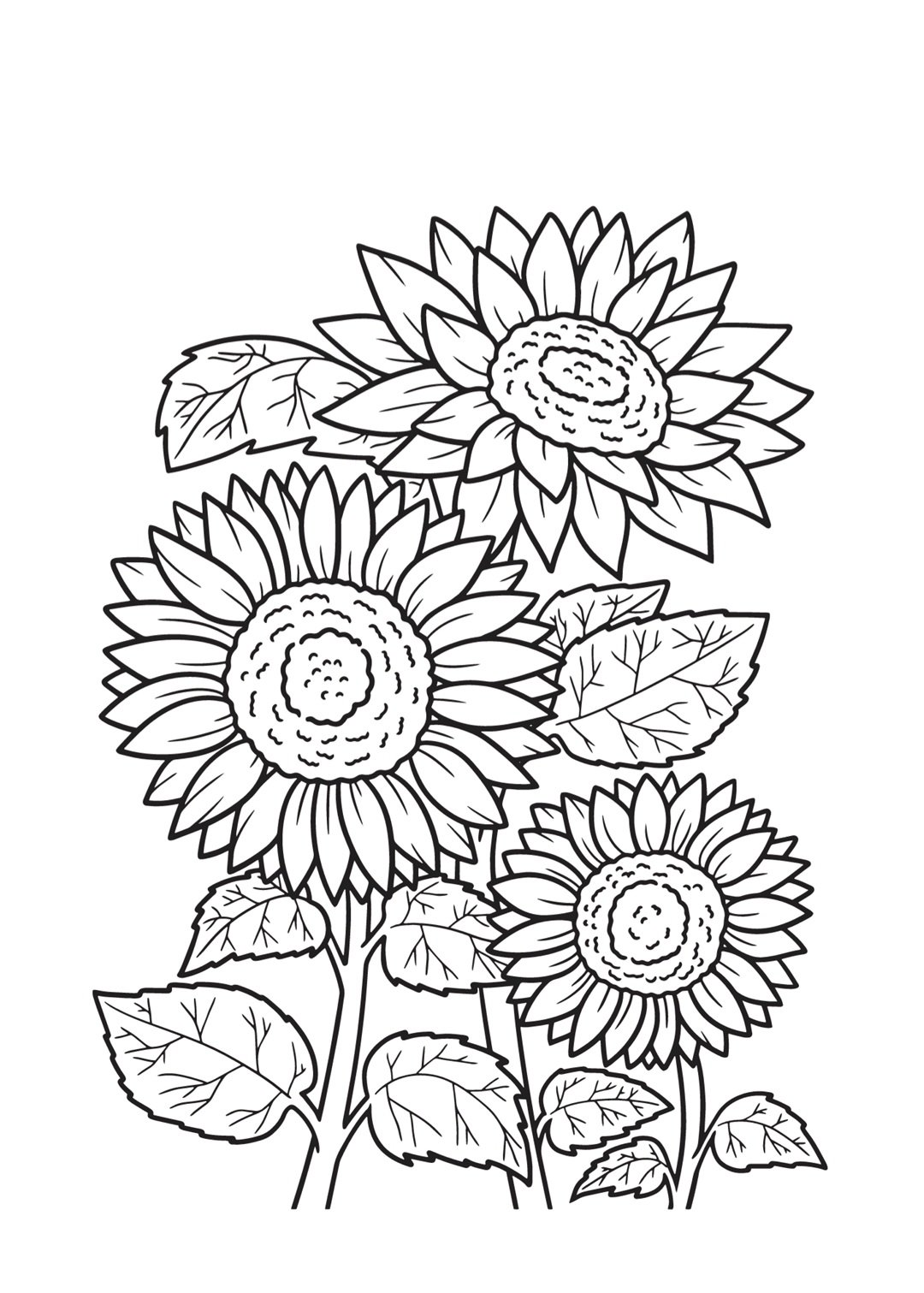 Carnations Prayer Journal - Image 4