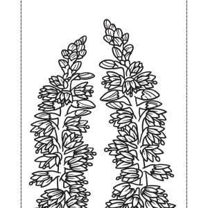 Poppies Prayer Journal