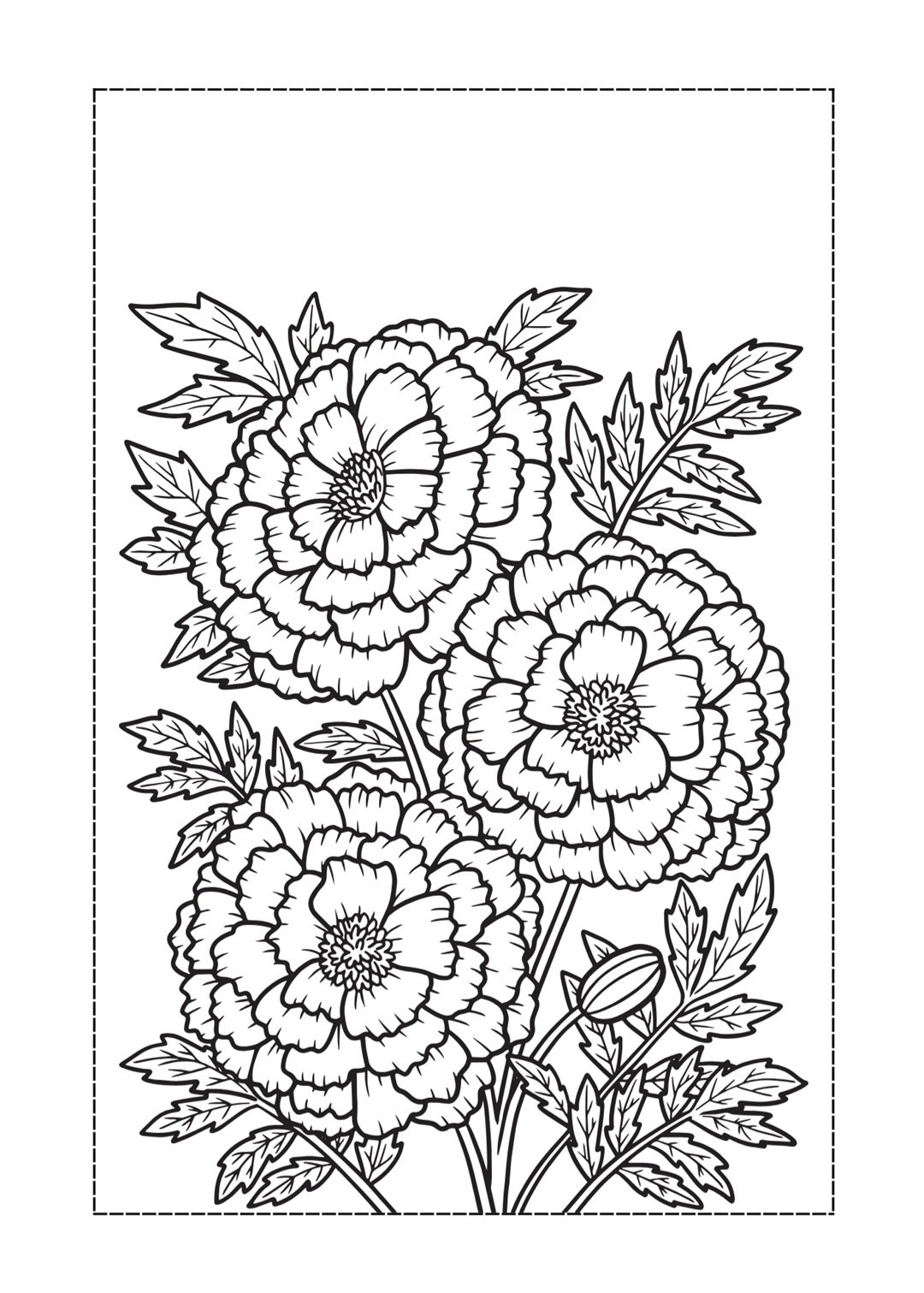 Olive Prayer Journal - Image 4