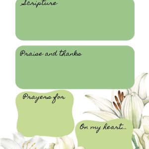 Lillies Prayer Journal