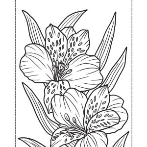 Lillies Prayer Journal