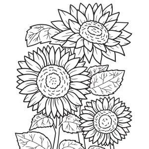 Sunflower Prayer Journal