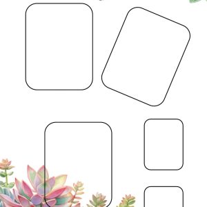 Succulents wedding planner